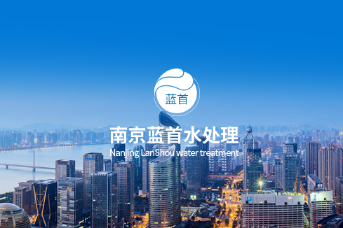 红岗建站-南京蓝首水处理设备有限公司