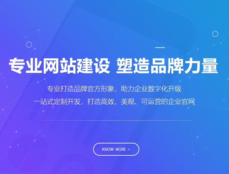 杜尔伯特建站-专业网站建设 塑造品牌力量